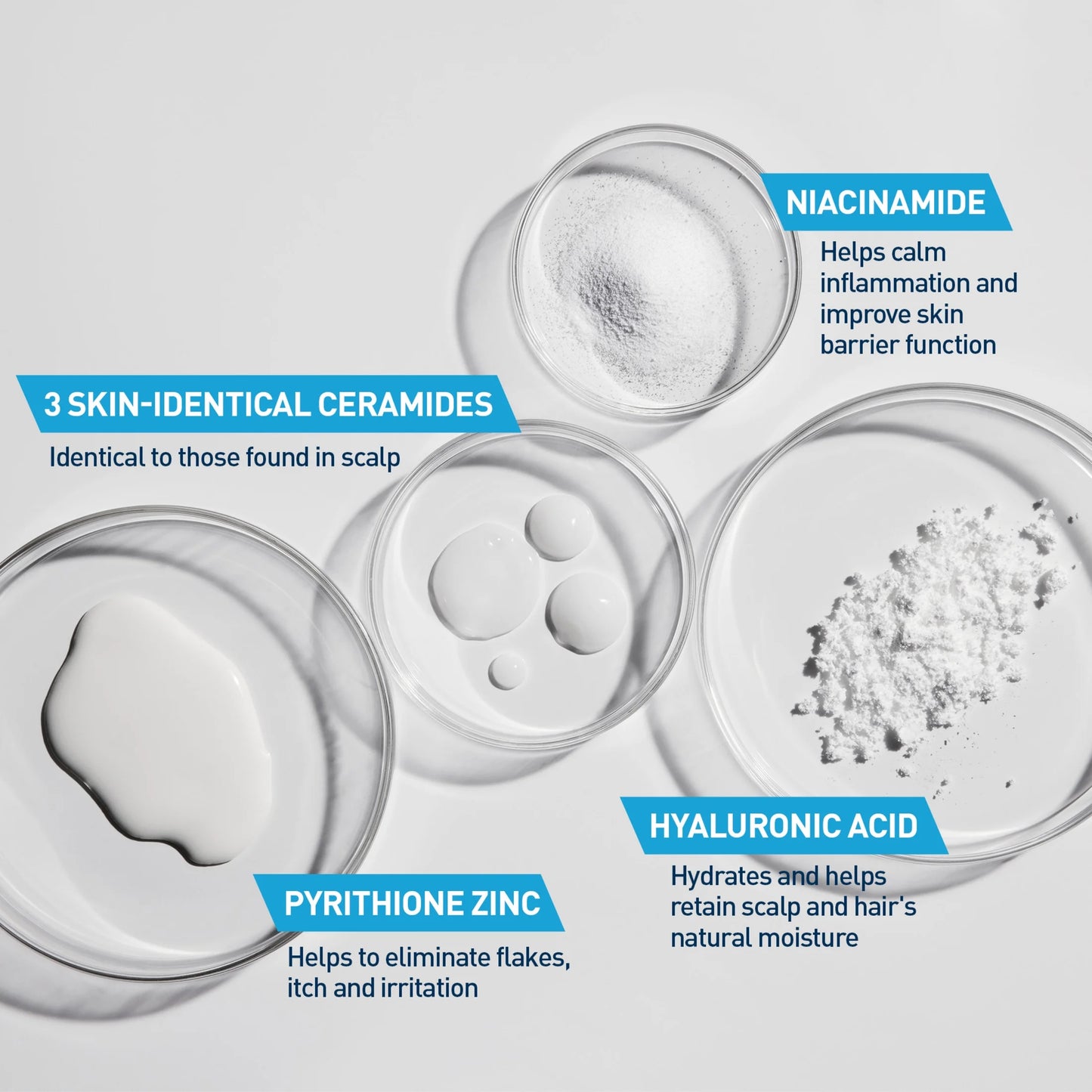 Hydrating anti Dandruff Shampoo Sulfate Free & Color Safe Itchy Scalp Treatment