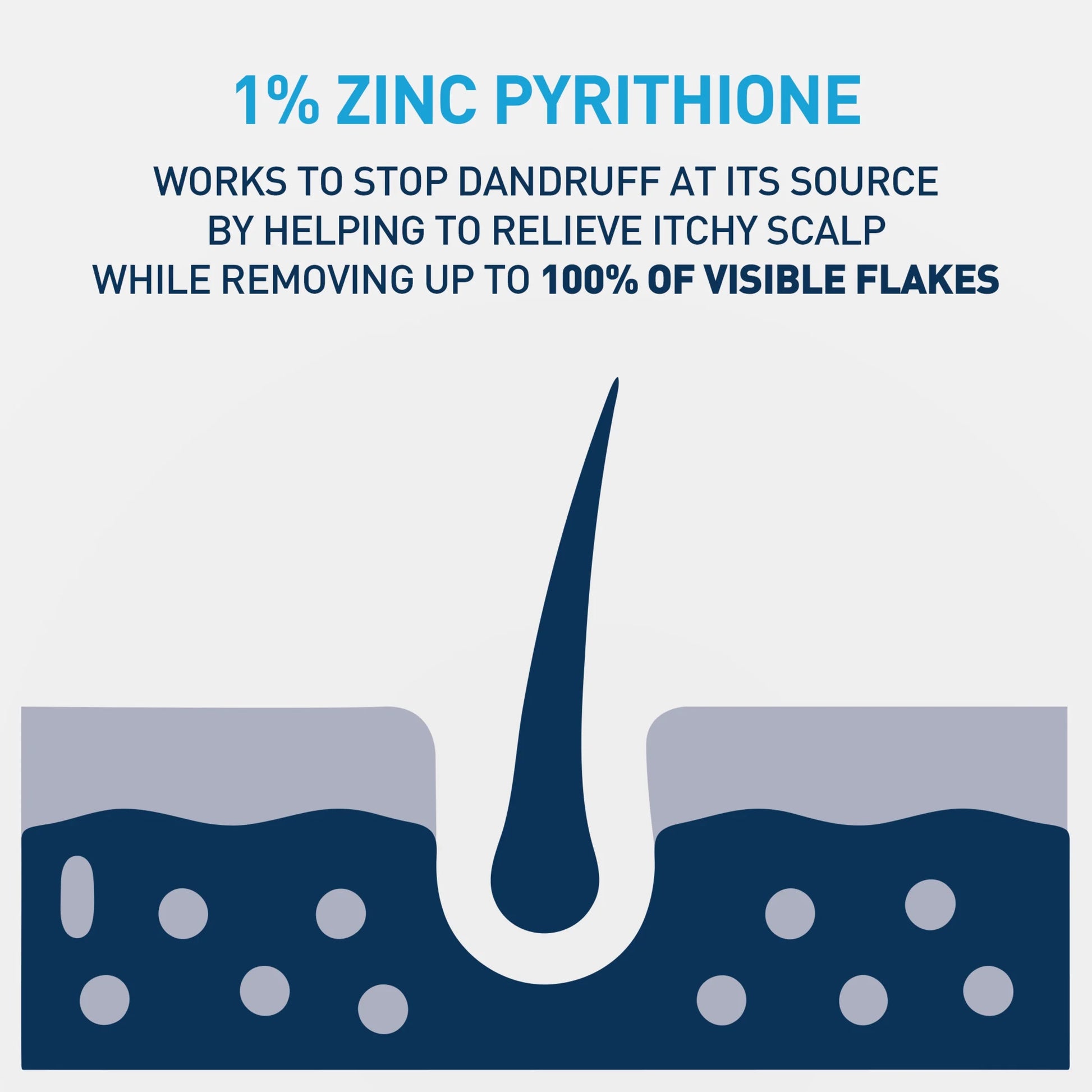 Hydrating anti Dandruff Shampoo Sulfate Free & Color Safe Itchy Scalp Treatment